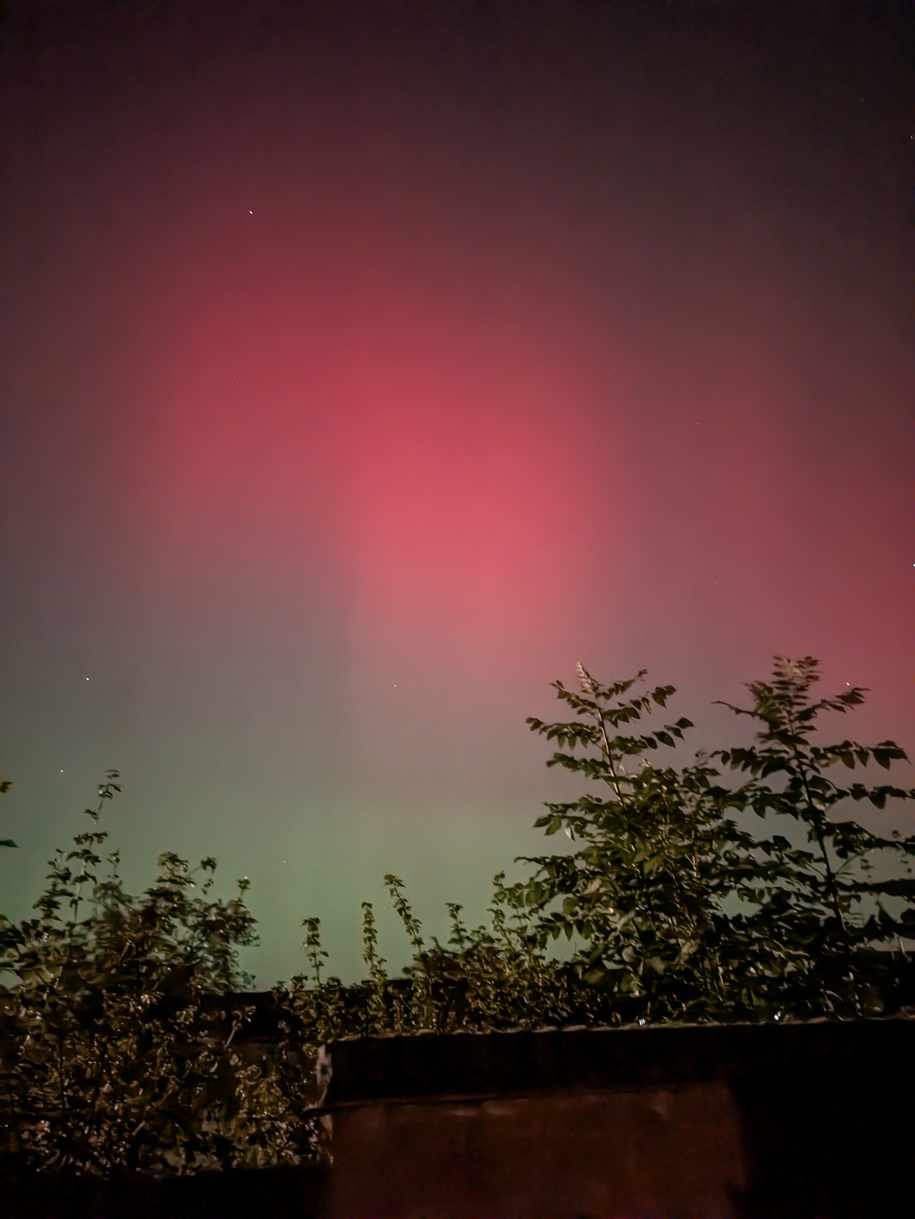 Northern lights1